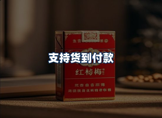 专业团队办公环境